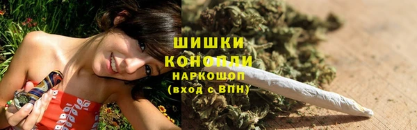 твердый Арсеньев