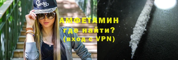 твердый Арсеньев