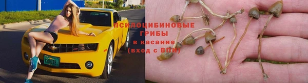 метадон Аркадак
