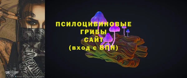 твердый Арсеньев