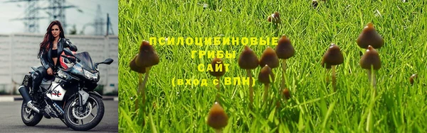 твердый Арсеньев