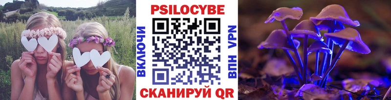 что такое   Кирово-Чепецк  Псилоцибиновые грибы прущие грибы 