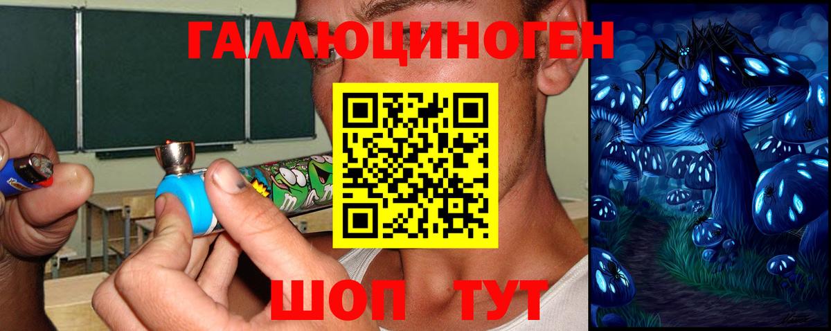 Кирово-Чепецк  Псилоцибиновые грибы GOLDEN TEACHER  Вход с VPN 