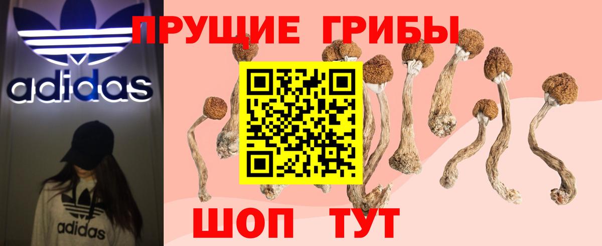 Псилоцибиновые грибы ЛСД Кирово-Чепецк