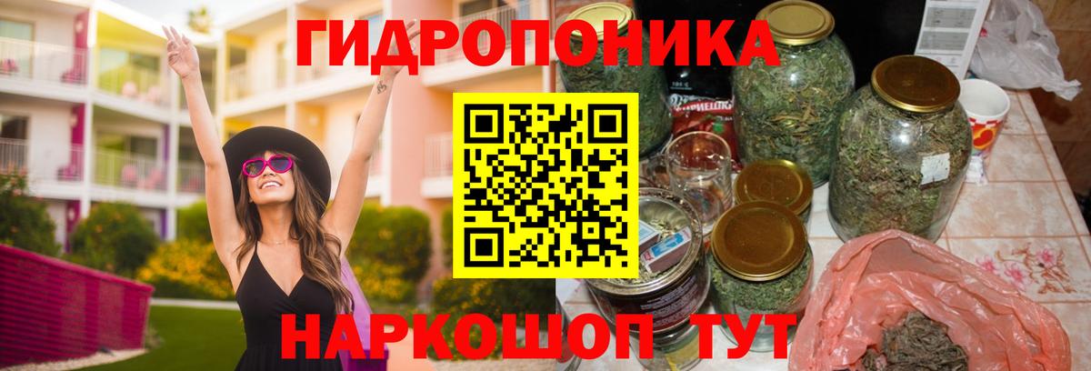 Марихуана гибрид  Марихуана тримм  Кирово-Чепецк  Вход с VPN  Каннабис Bruce Banner 